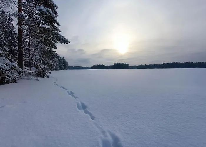 With Outdoor Jacuzzi And Sauna